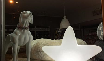 fleur ami LUMENIO LED Stern