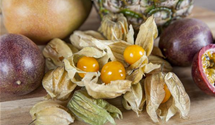 Physalis peruviana