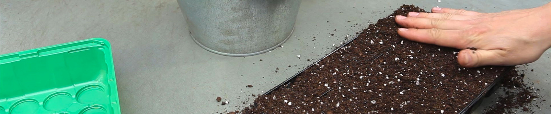 Gurken - Aussäen von Samen (thumbnail) Gurken - Aussäen von Samen (thumbnail)