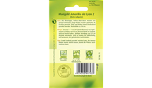 Beta vulgaris var. cicla 'Amarilla de Lyon 2'