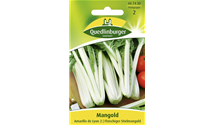 Beta vulgaris var. cicla 'Amarilla de Lyon 2'