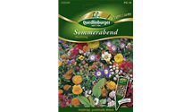 Sommerblumen 'Sommerabend Mischung'