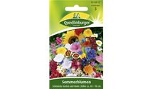 Sommerblumen 'Schmücke Garten und Heim'