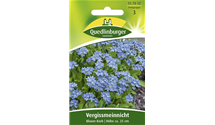 Myosotis sylvatica 'Blauer Korb'