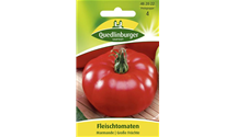 Solanum lycopersicum 'Marmande'