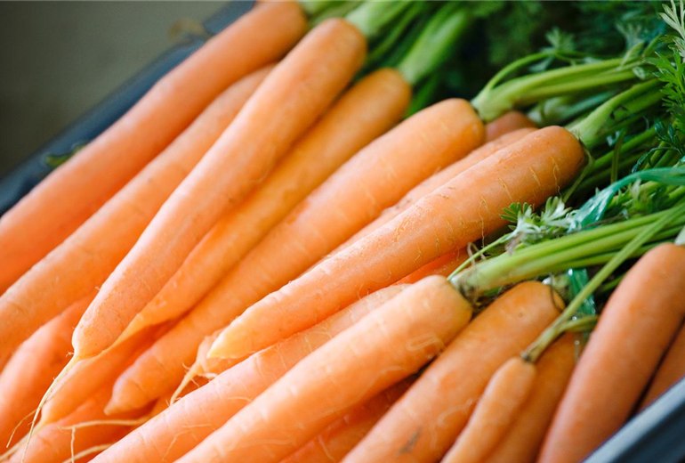 Daucus carota var. sativus