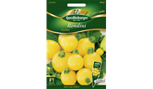 Cucurbita pepo subsp. pepo convar. giromontiina 'Floridor'