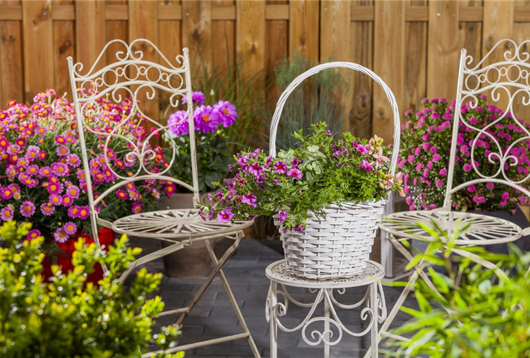 Terrasse mit bunten Kübelpflanzen