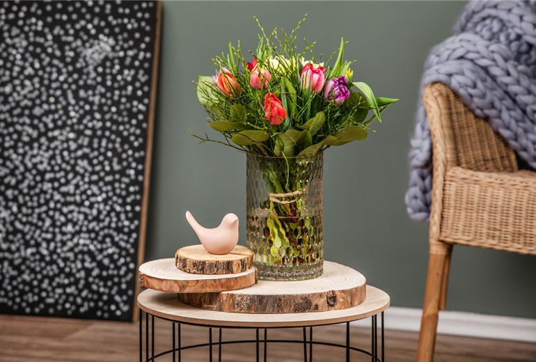 Tulipa