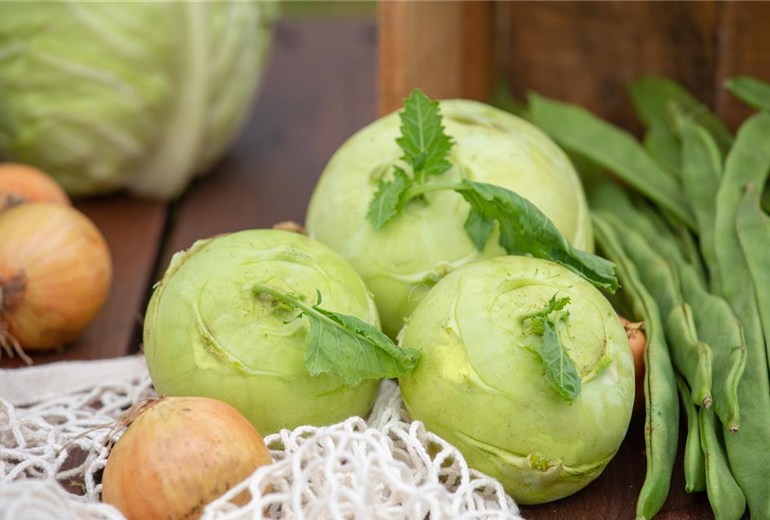 Kohlrabi