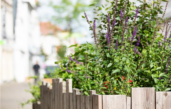 Urban Gardening – selbst in der Stadt ist Platz zum Gärtnern Urban Gardening – selbst in der Stadt ist Platz zum Gärtnern