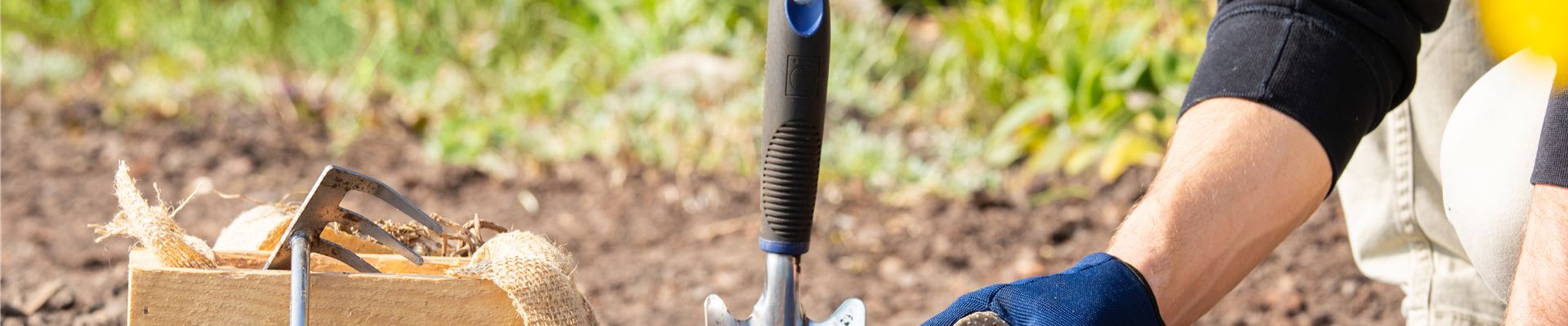 Blumenzwiebeln einpflanzen Blumenzwiebeln einpflanzen