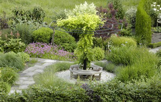 Kletterpflanzen pflegen wie ein Profi Kletterpflanzen pflegen wie ein Profi