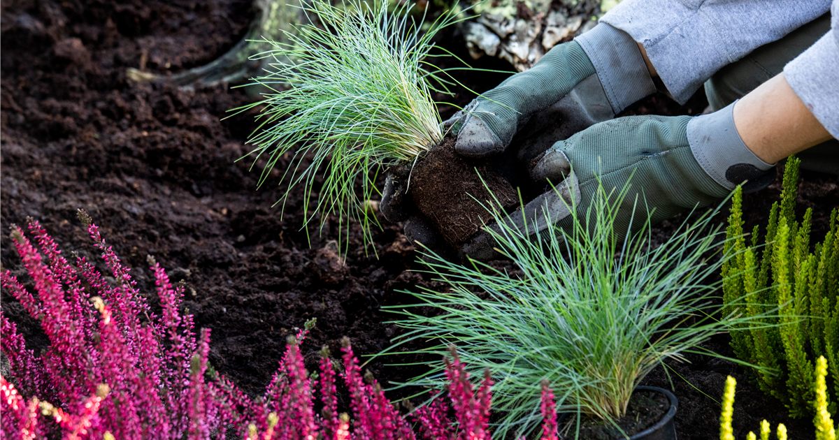 moderne blumenständer Deko Blumenständer