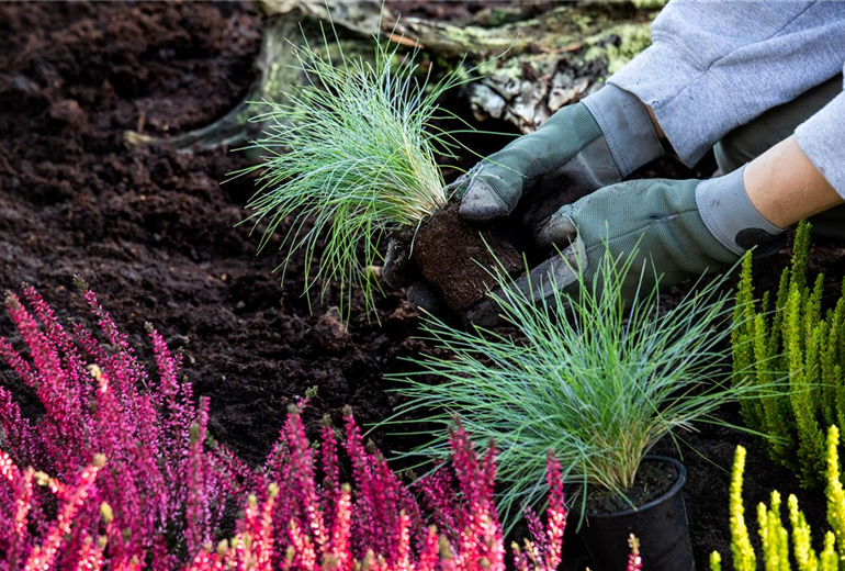 GS654726.jpg GS654726.jpg