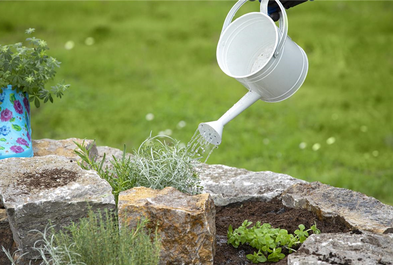 GS625897.jpg GS625897.jpg