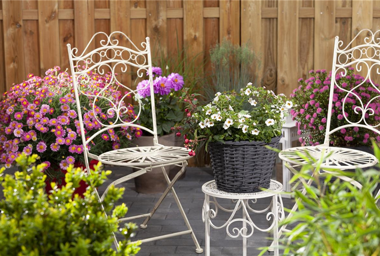 Terrasse mit bunten Sommerblumen