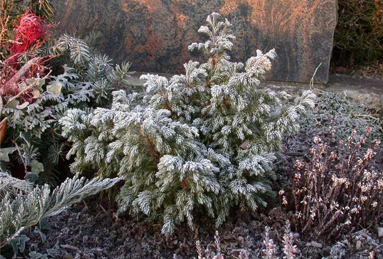 GS614168.jpg