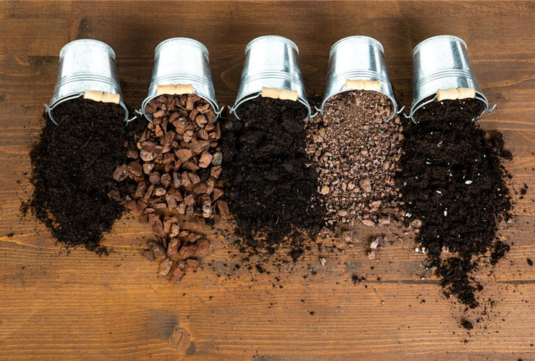 GS639597.jpg GS639597.jpg