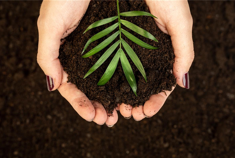 GS639639.jpg GS639639.jpg