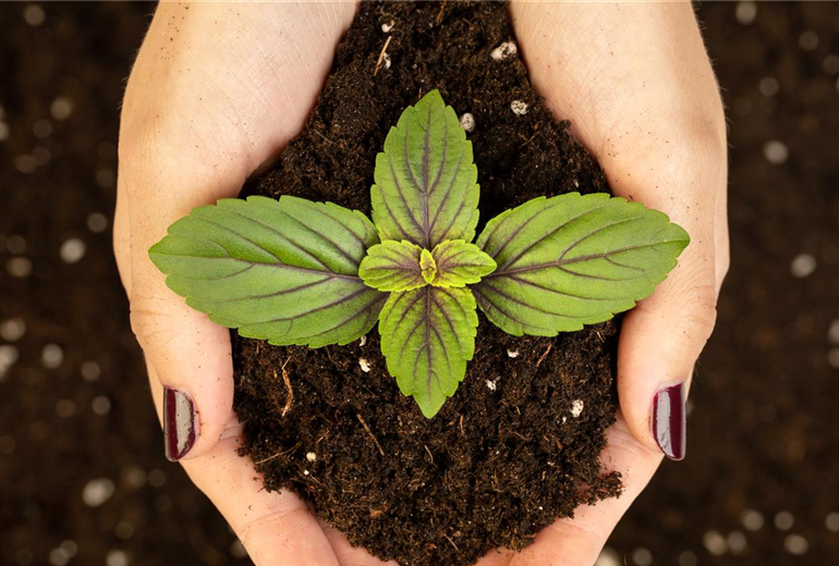 GS639634.jpg GS639634.jpg