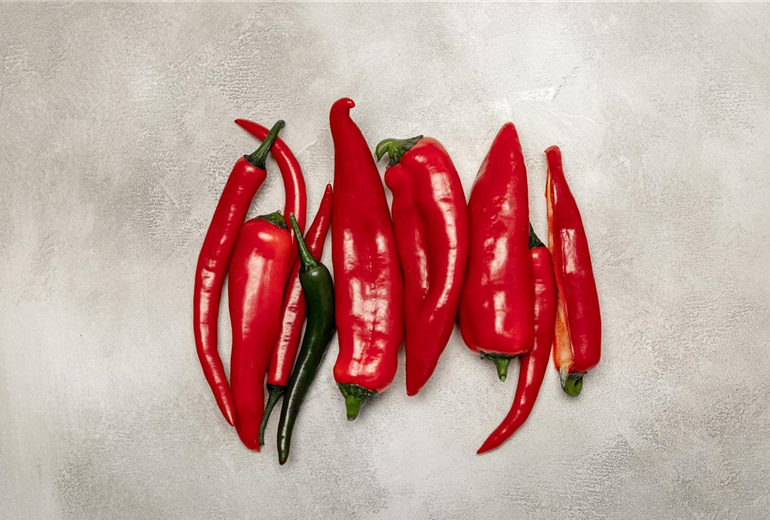 Chili und Paprika Chili und Paprika
