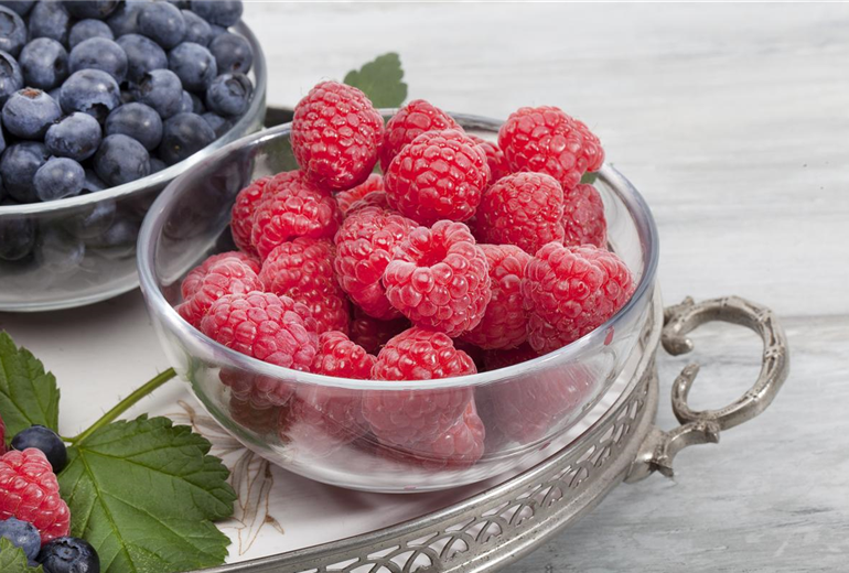 Rubus idaeus