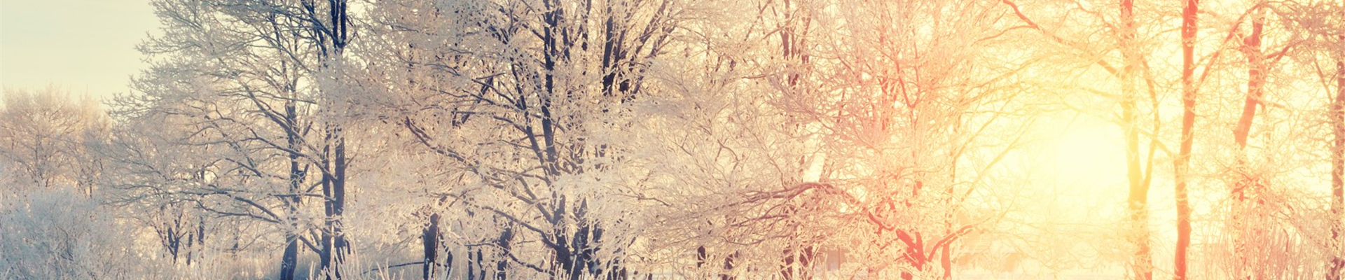 bigstock--160282622 (Large)