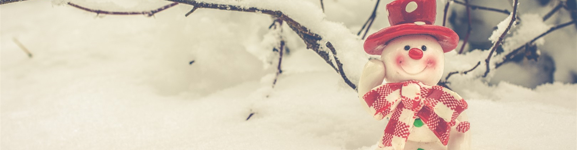 bigstock-Merry-Christmas-Winter-Christ-148985927 (Groß)