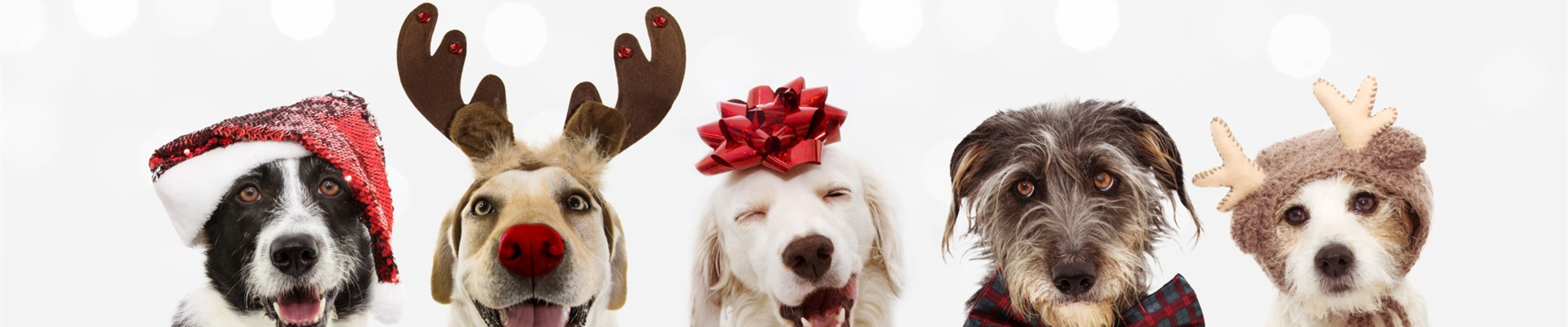 AdobeStock_305290486 (Groß)