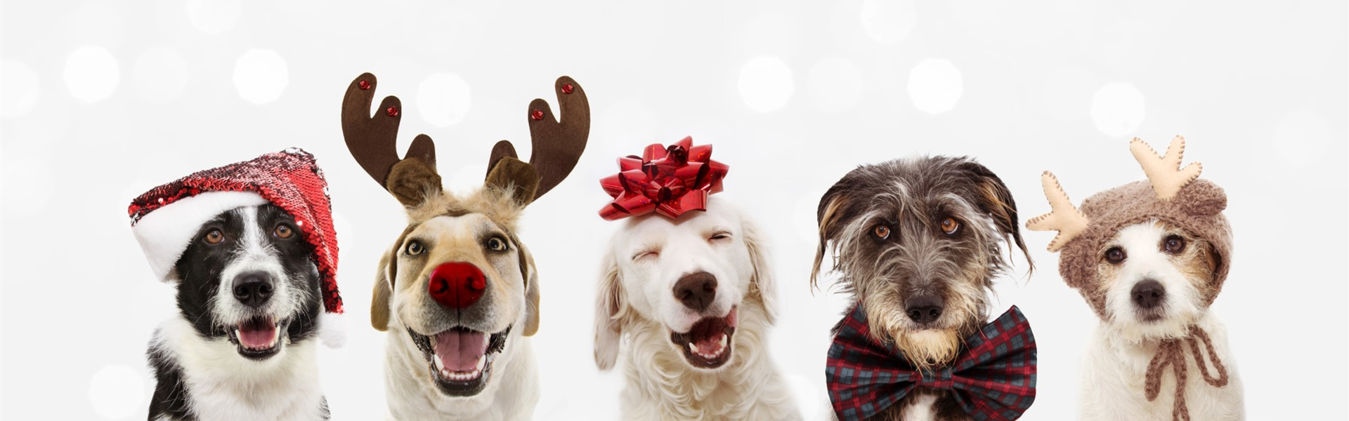 AdobeStock_305290486 (Groß)