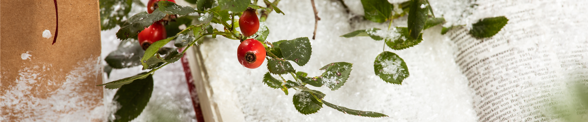 Weihnachtsdekoration