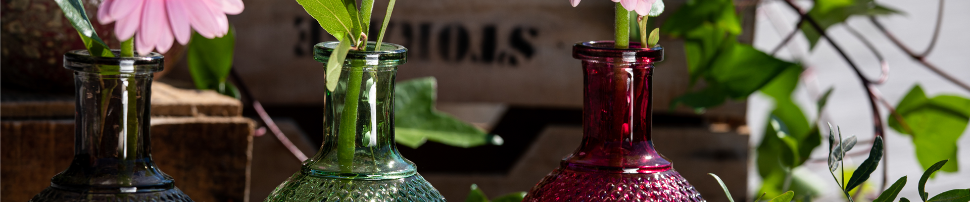 Gerberas in Vasen Gerberas in Vasen