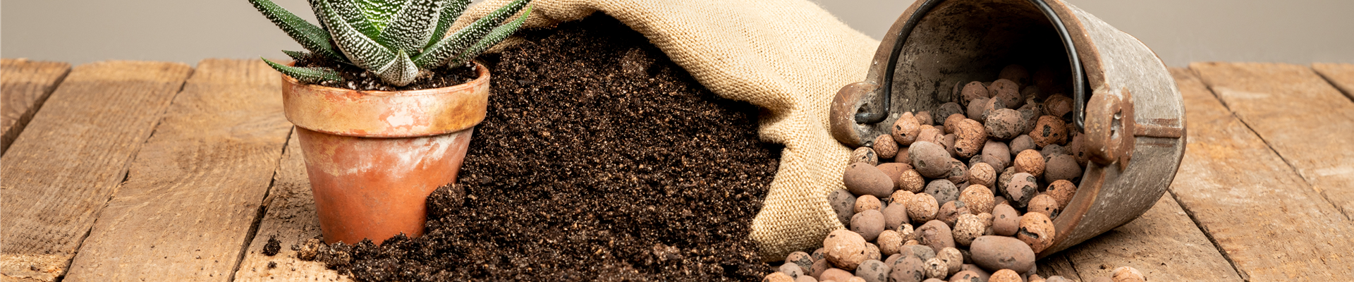 Erde im Jutesack mit Sukkulente und Blähton Erde im Jutesack mit Sukkulente und Blähton