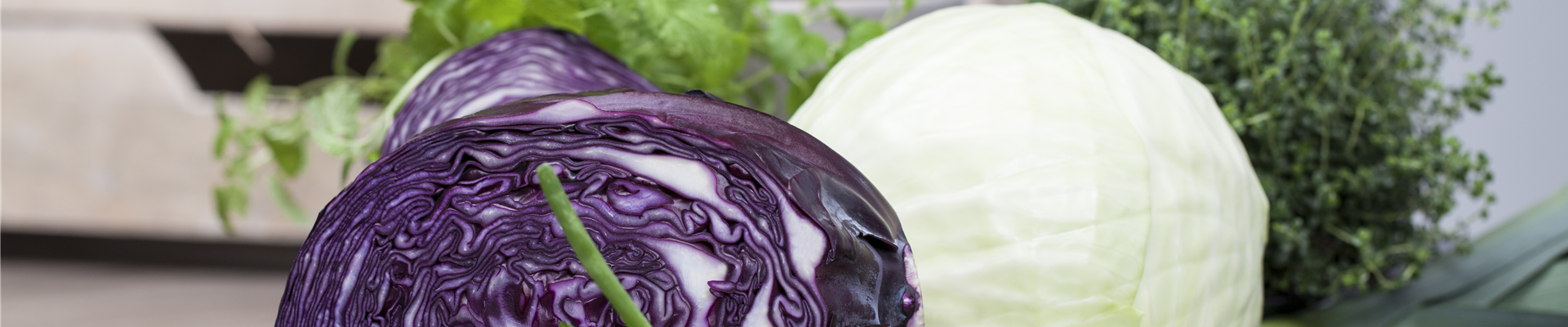 Rotkohl, Weißkohl Rotkohl, Weißkohl