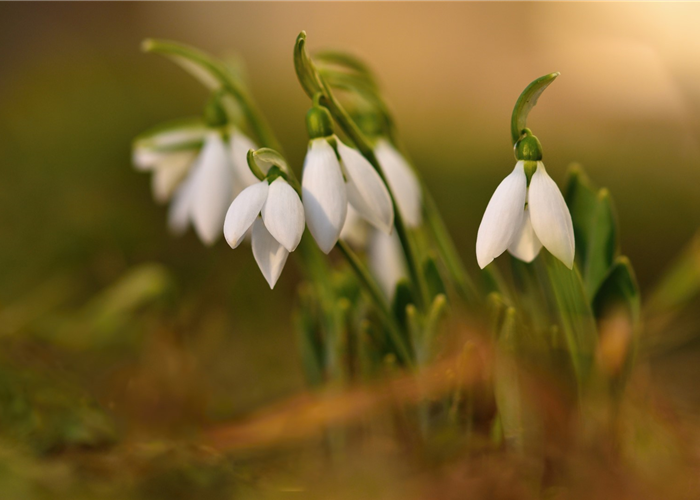 Braunschweig: Mitarbeiter/in (m/w/d) vorwiegend für unsere Kasse