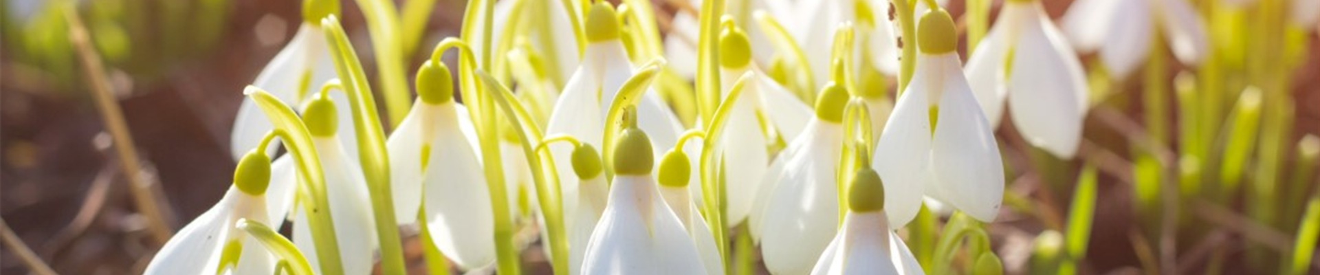 bigstock--219937882 (Groß) bigstock--219937882 (Groß)