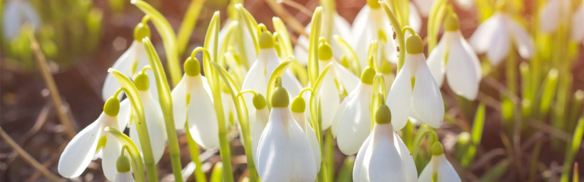 bigstock--219937882 (Groß)