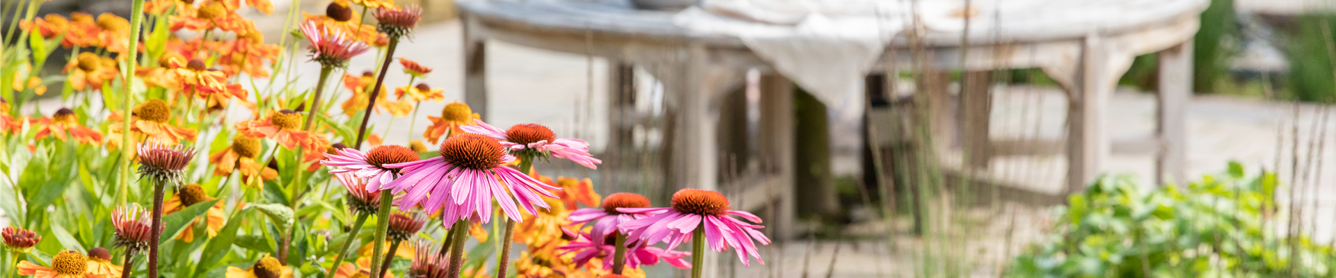 Sommergarten Sommergarten