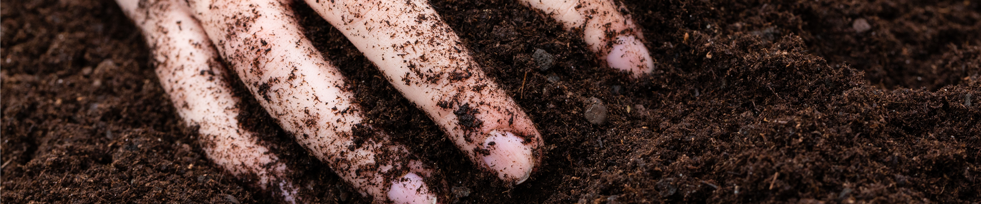 Hände mit Erde Hände mit Erde