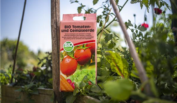 Bio-Spezialerde für Tomaten und nährstoffbedürftiges Gemüse