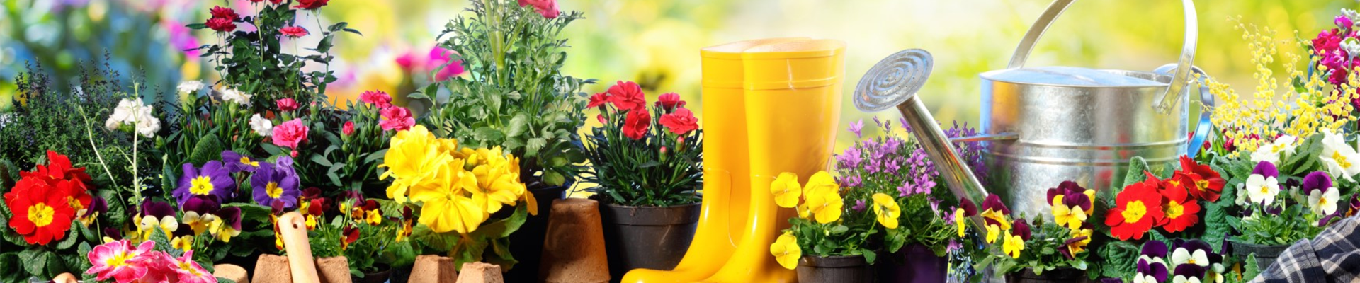 bigstock-Gardening--Equipment-For-Gard-287111293 (Groß)