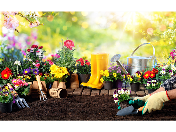 Goslar: Aushilfe (m/w/d) im Verkauf für die Saison