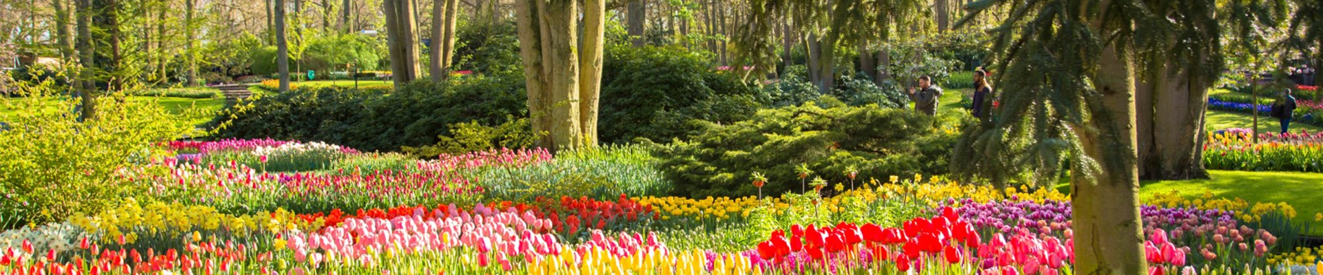 bigstock-Spring-Blooming-Sunny-Park-Fl-272768869 (Groß) bigstock-Spring-Blooming-Sunny-Park-Fl-272768869 (Groß)