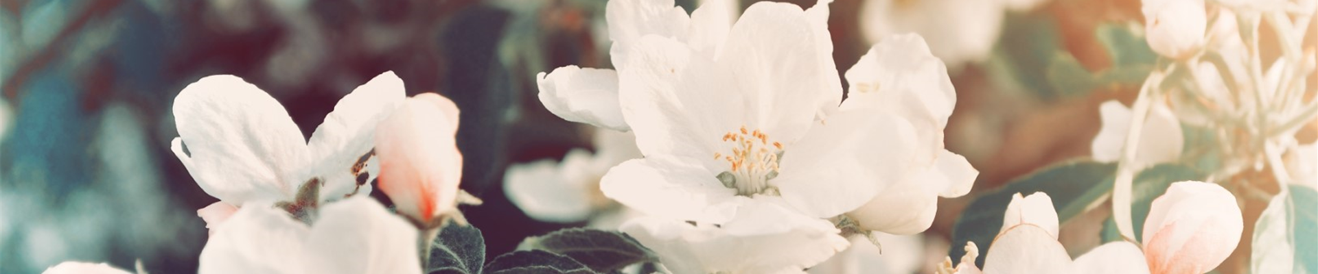 bigstock--182438446 (Groß)