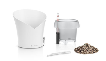 Komplettset mit Bewässerungssystem