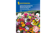 Sommerblumen Schneckenresistent