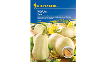 Cucurbita pepo 'Tiana' Cucurbita pepo 'Tiana'
