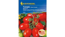 Solanum lycopersicum 'Roma'