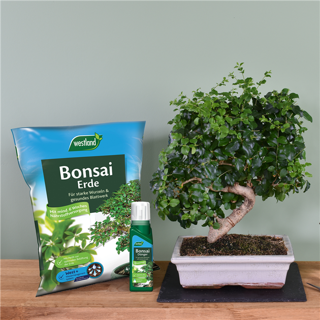 studio ghibli bonsai fountain My Neighbor Totoro Water Garden Bonsai Desktop Water Fountain